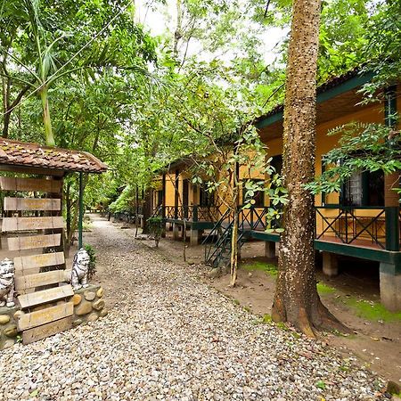 Maruni Sanctuary Lodge By Kgh Group Sauraha Luaran gambar