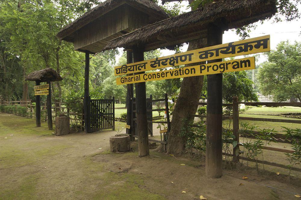 Maruni Sanctuary Lodge By Kgh Group Sauraha Luaran gambar